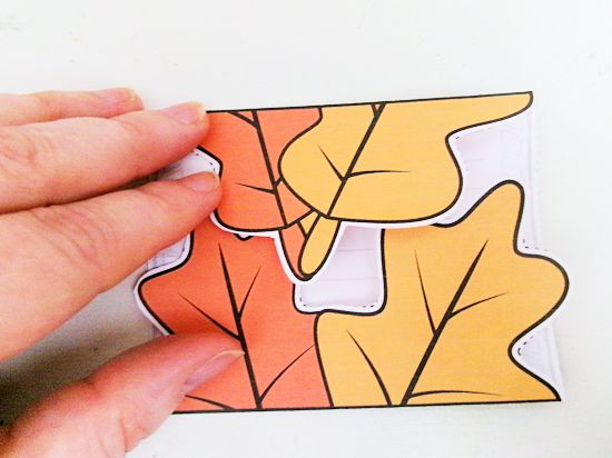 Fold along bottom black line.